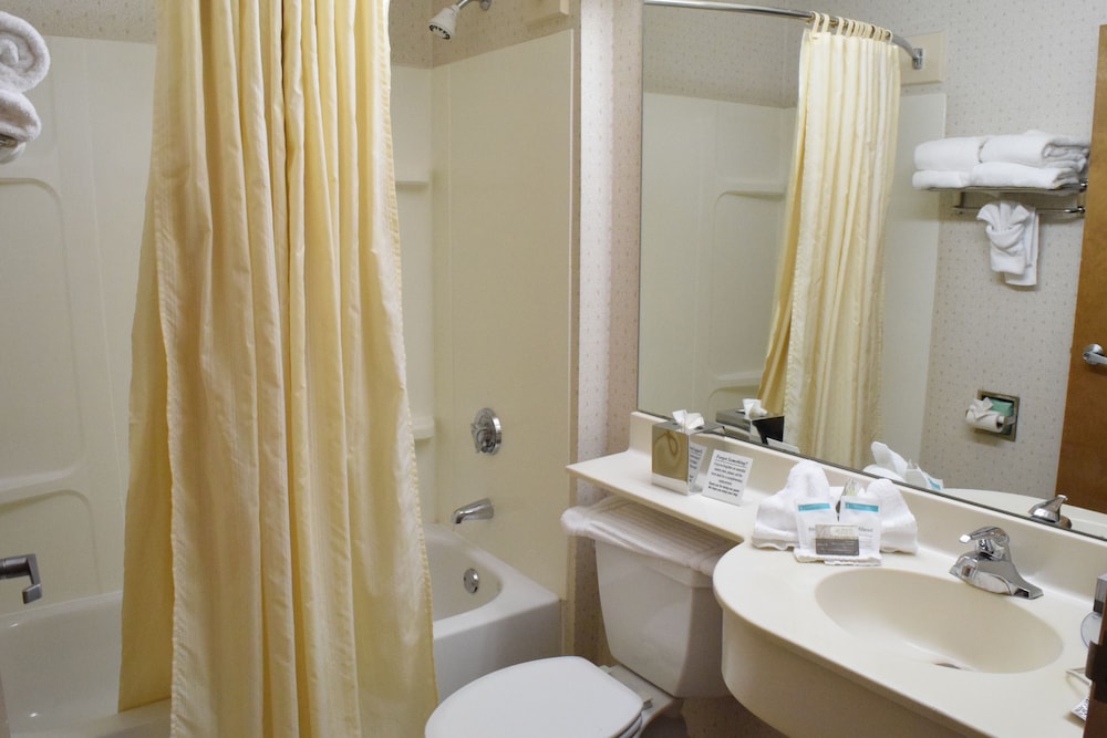 Suite junior, 1 cama de matrimonio con sofá cama del hotel Inn At The Finger Lakes. Foto 4