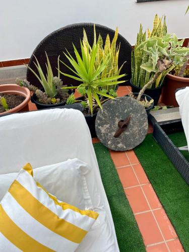 Apartamento con 1 dormitorio y vistas al mar - Fumadores del hotel Apartamentos Los Verodes. Foto 5