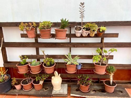 Apartamento con 1 dormitorio y vistas al mar - Fumadores del hotel Apartamentos Los Verodes. Foto 21