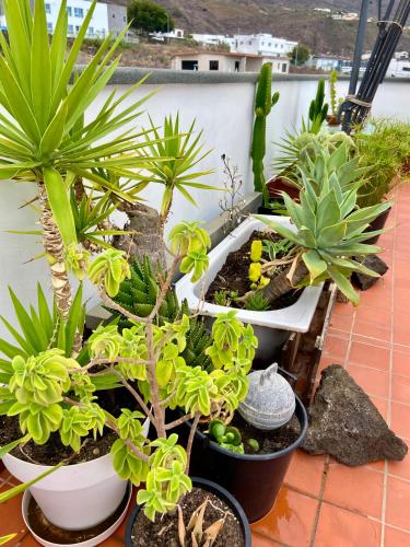 Apartamento con 1 dormitorio y vistas al mar - Fumadores del hotel Apartamentos Los Verodes. Foto 23