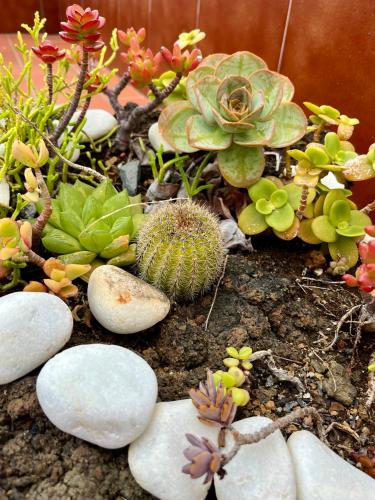 Apartamento de 1 dormitorio con vistas al mar - No fumadores del hotel Apartamentos Los Verodes. Foto 7