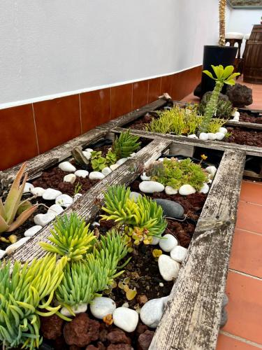 Apartamento con 1 dormitorio y vistas al mar - Fumadores del hotel Apartamentos Los Verodes. Foto 39