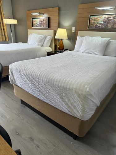 Habitación Doble adaptada para personas con movilidad reducida del hotel Americas Best Value Inn, Central Valley. Foto 8