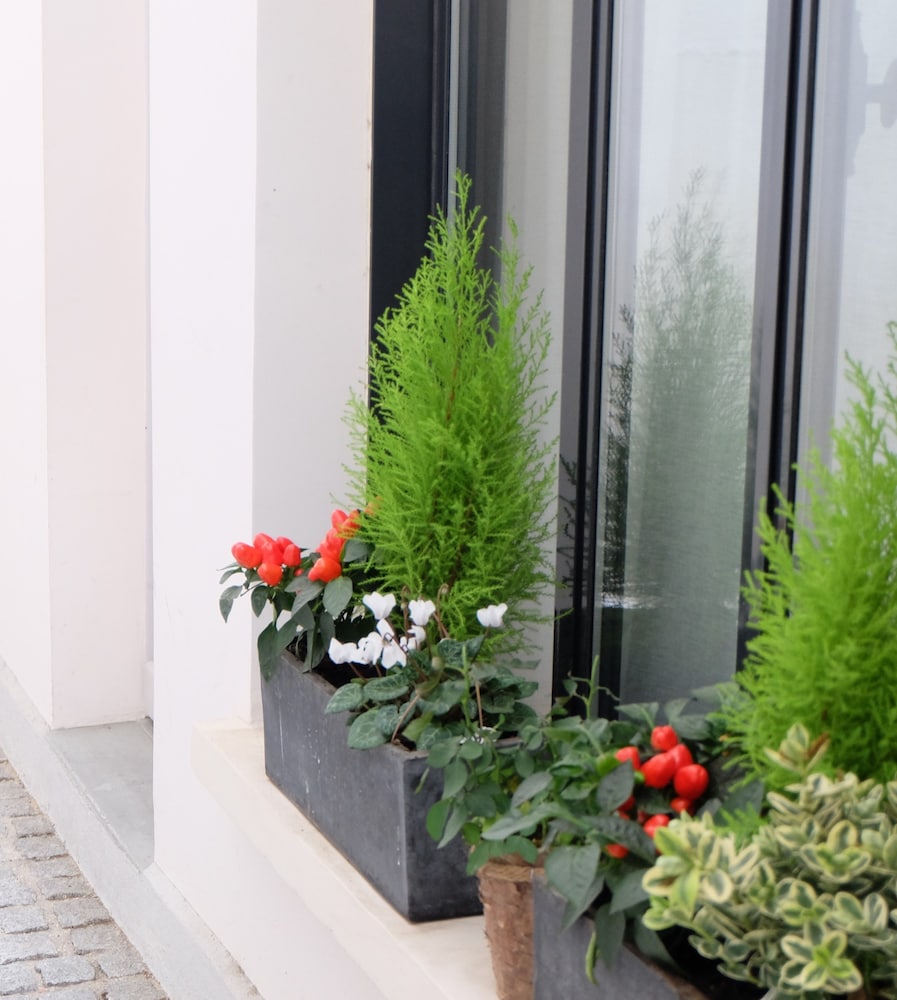 Habitación clásica doble del hotel Saint Dominique. Foto 8