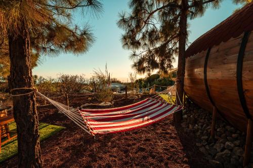 Barril Experience del hotel La Correa del Almendro. Foto 4