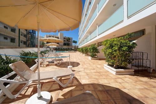 One Bedroom Apartment with Pool View del hotel Apartamentos Strelitzias. Foto 53