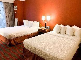 Habitación con cama extragrande - Adaptada para personas de movilidad reducida del hotel DoubleTree by Hilton New York LaGuardia Airport