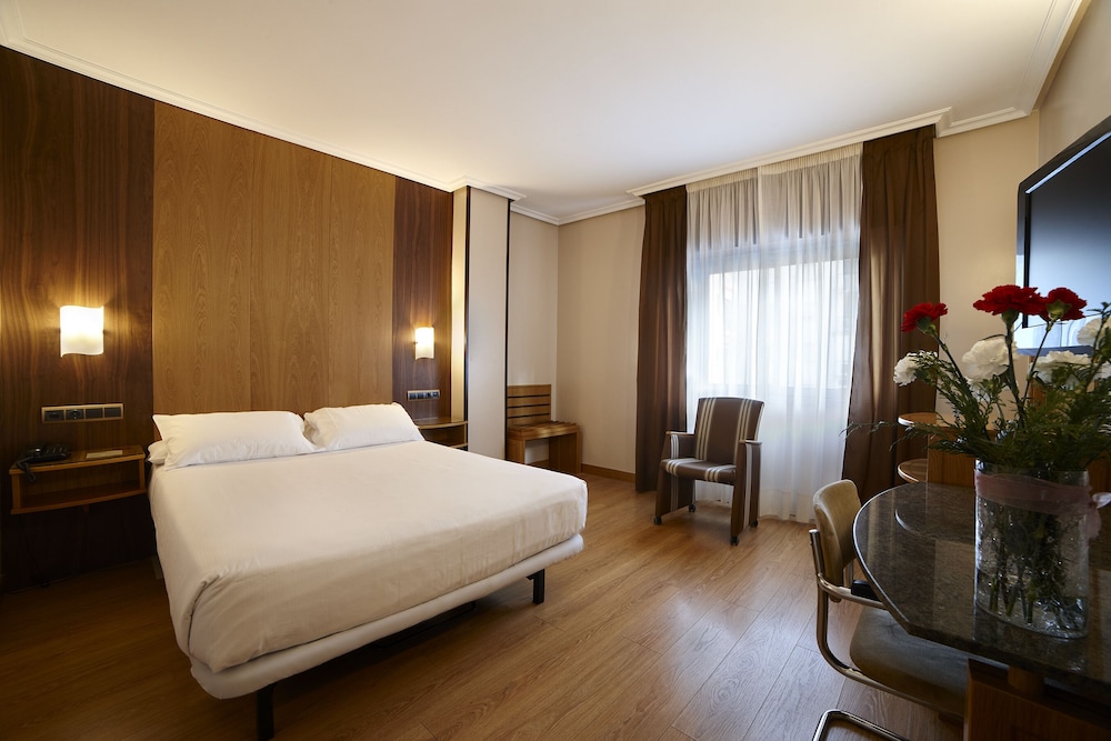 Habitación con 1 cama doble o 2 individuales del hotel Zenit Dos Infantas