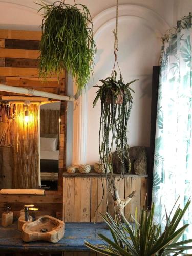 Suite 1 Cama doble del hotel Cactus Host. Foto 24