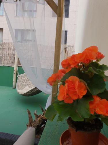 Suite Estándar del hotel Cactus Host. Foto 35