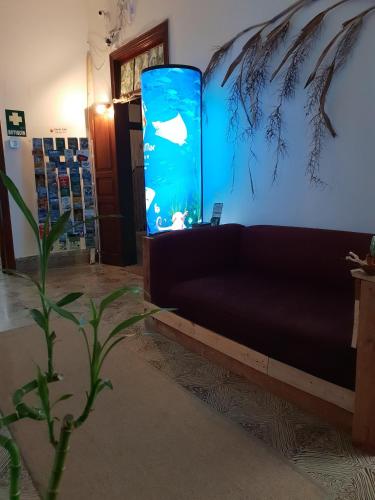 Suite del hotel Cactus Host. Foto 37