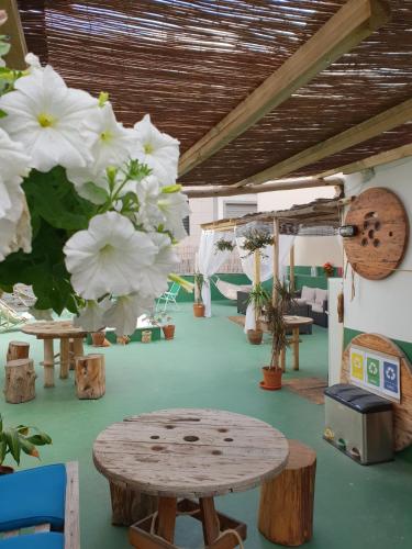 Suite del hotel Cactus Host. Foto 42