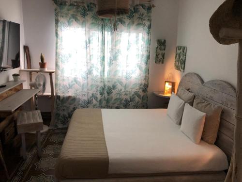 Suite del hotel Cactus Host. Foto 60