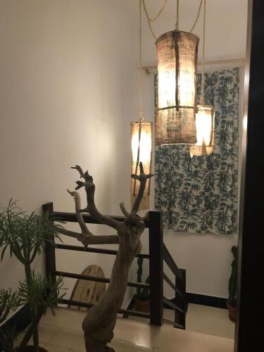 Suite del hotel Cactus Host. Foto 68