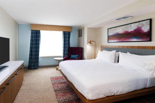 Suite Estudio con cama extragrande del hotel Hilton Garden Inn New York / Staten Island. Foto 1