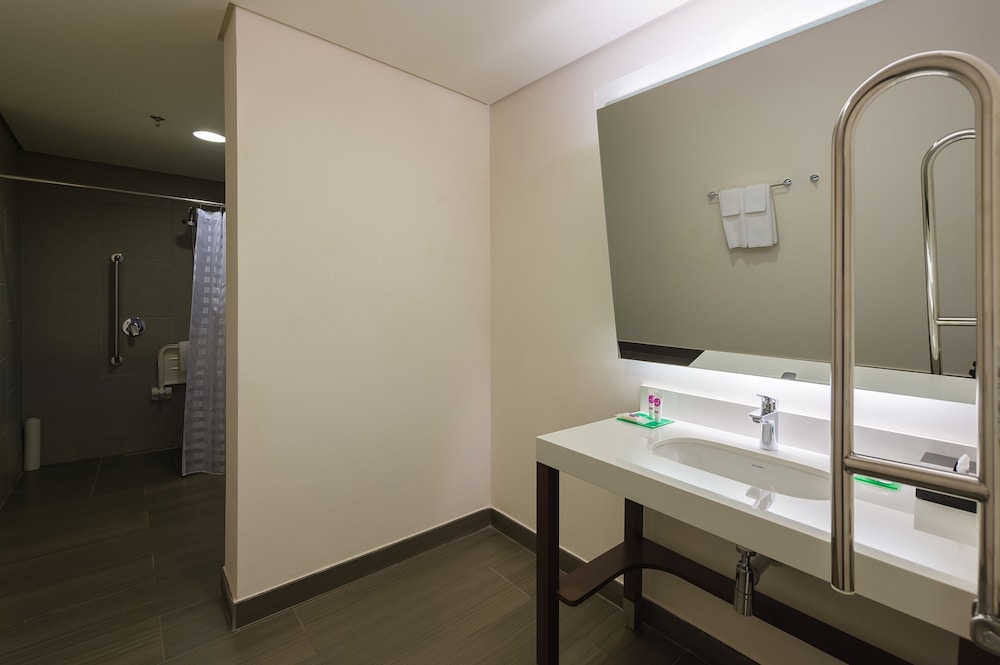 Habitación, 1 cama de matrimonio grande, accesible para personas con discapacidad (Roll - In Shower) del hotel Hyatt Place Sao Jose Do Rio Preto. Foto 5