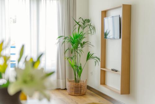 Apartamento Económico de un dormitorio del hotel Dunas De Liencres. Foto 7