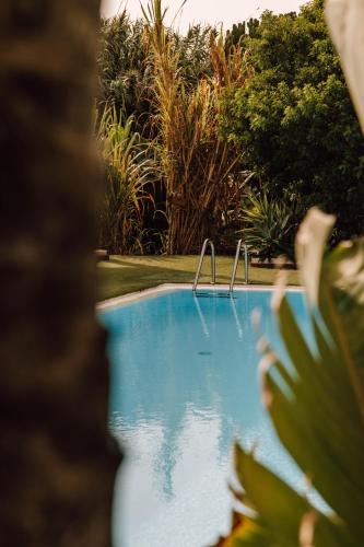 Estudio con terraza del hotel Surfescape Fuerteventura