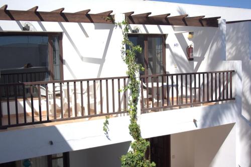 Estudio con vistas a la piscina del hotel Las Lilas. Foto 3