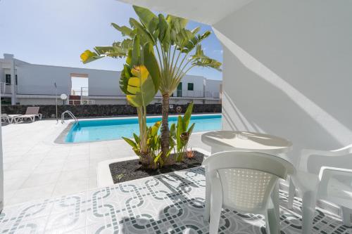 Apartamento Balcón o Terraza 1 habitación Sofá Cama incluido 2 Camas individuales kitchenette Normal del hotel Aloe. Foto 20