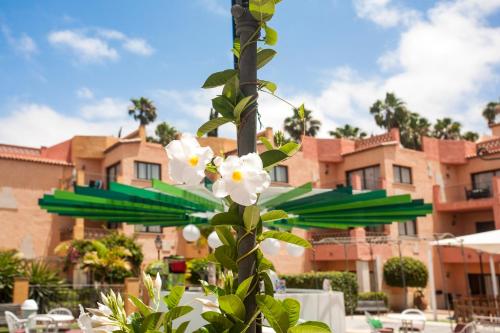 Apartamento de 1 dormitorio del hotel Villa Mandi Golf Resort. Foto 54