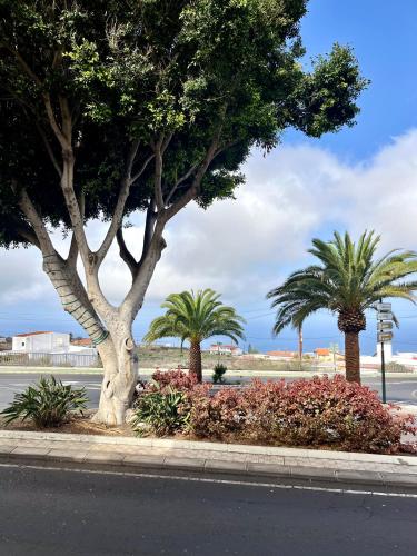 Apartamento de 1 dormitorio con balcón del hotel Edalmar. Foto 9