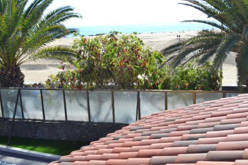 Apartamento de 1 dormitorio del hotel Bungalows Club Primavera. Foto 2