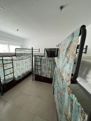 Cama en habitación compartida femenina de 6 camas del hotel A2c - Adults Only. Foto 3