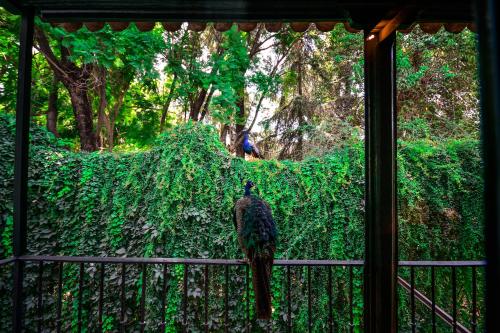 Habitación Deluxe con terraza y vistas al Real Alcázar del hotel Legado Alcázar. Foto 1