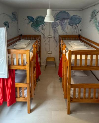 Cama en habitación compartida mixta de 4 camas del hotel Tenerife Experience. Foto 2