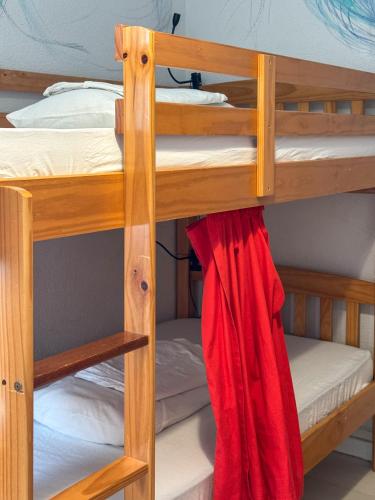 Cama en habitación compartida mixta de 4 camas del hotel Tenerife Experience. Foto 3