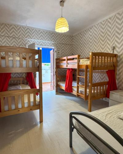 Cama en habitación mixta compartida de 5 camas del hotel Tenerife Experience. Foto 3