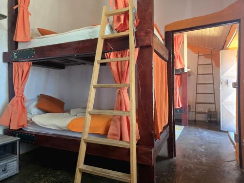 Cama en habitación compartida mixta de 8 camas del hotel Mountain Finca La Isa. Foto 9