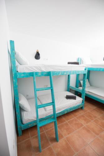 8 - Bed Mixed Dorm: Flexible Bunk Space (Upper/Lower Subject to Availability) del hotel Surfers Retreat. Foto 3