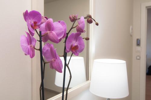 Apartamento del hotel Los Rodeos. Foto 2