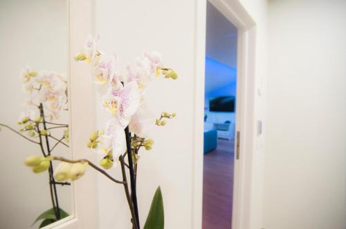 Apartamento del hotel Los Rodeos. Foto 51