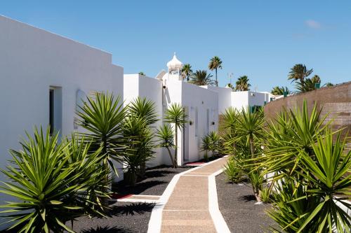 Villa de 1 dormitorio del hotel Villas New Lanzasuites. Foto 38