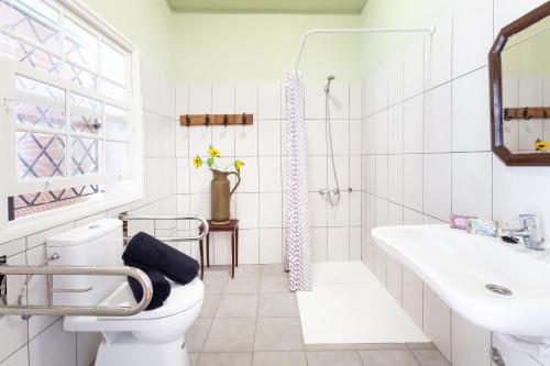 Cama en habitación compartida mixta de 6 camas del hotel Patio - Adults Only. Foto 6