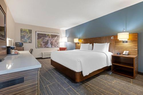 Habitación Superior con cama extragrande del hotel Quality Inn Near Finger Lakes And Seneca Falls. Foto 8