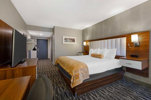 Habitación con ducha a ras de suelo, adaptada para personas de movilidad reducida - Cama extragrande del hotel Best Western Inn On The Avenue. Foto 1