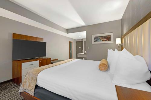 Habitación - 1 cama extragrande - No fumadores del hotel Best Western Inn On The Avenue. Foto 2