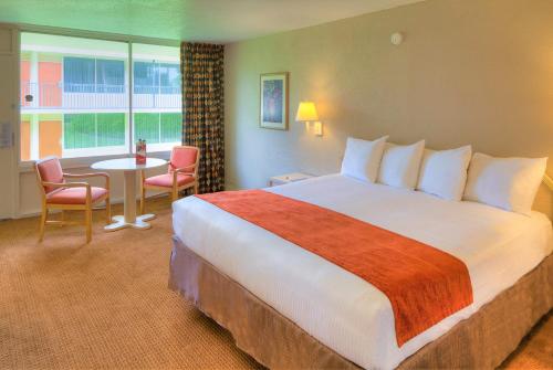 Habitación Estándar Inn - 1 cama extragrande del hotel Ramada Kissimmee Gateway. Foto 4