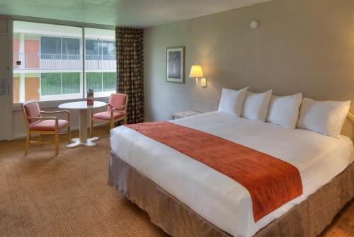 Habitación Estándar Courtyard Inn - 1 cama extragrande del hotel Ramada Kissimmee Gateway. Foto 6