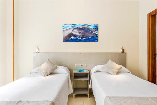 Interior Double or Twin Room del hotel Andrea's. Foto 7