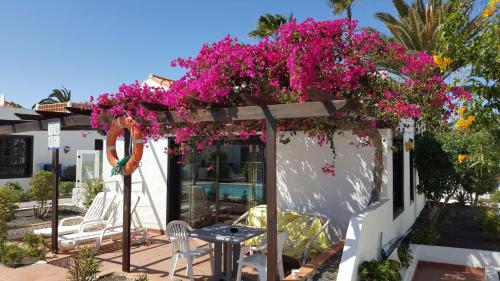 Apartamento del hotel La Concha del Mar. Foto 16