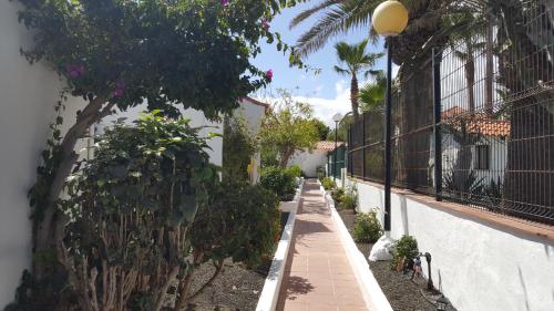 Apartamento del hotel La Concha del Mar. Foto 14