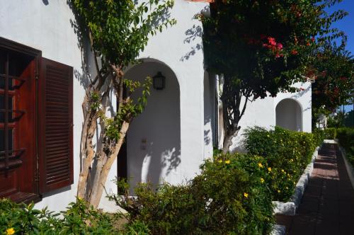 Apartamento Vista Jardín 1 habitación Sofá Cama incluido 2 Camas individuales del hotel La Concha del Mar. Foto 19