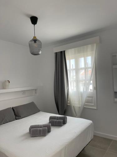 Apartamento Vista Jardín 1 habitación Sofá Cama incluido 1 Cama doble del hotel La Concha del Mar. Foto 1