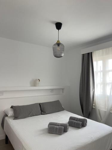 Apartamento Vista Jardín 1 habitación Sofá Cama incluido 1 Cama doble del hotel La Concha del Mar. Foto 2