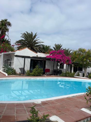 Apartamento Vista Jardín 1 habitación Sofá Cama incluido 1 Cama doble del hotel La Concha del Mar. Foto 3